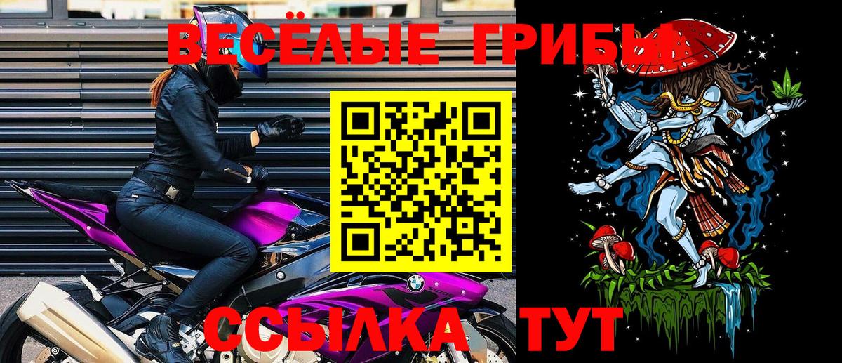 Тайшет  Псилоцибиновые грибы мицелий  Вход с VPN 
