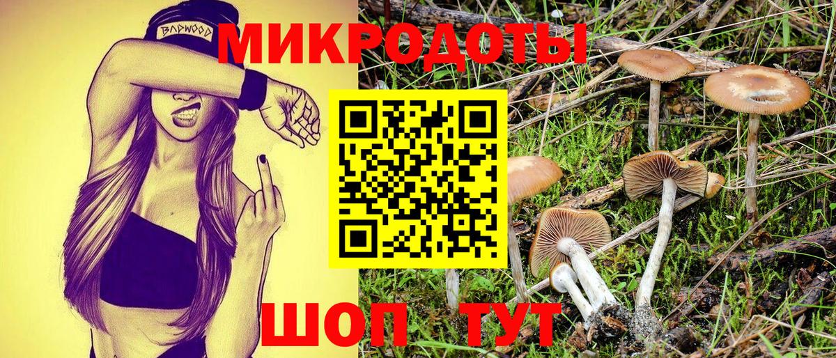 Галлюциногенные грибы мицелий Тайшет